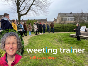 photo gallery image 01