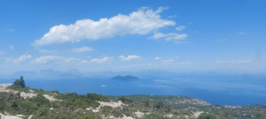 photo gallery image 01