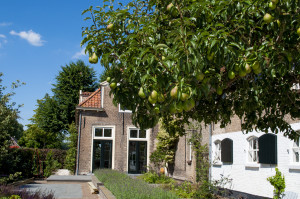 photo gallery image 01