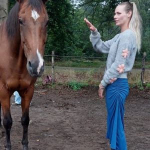 photo gallery image 01