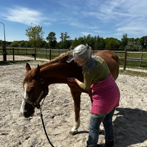 photo gallery image 01