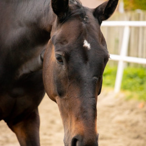 photo gallery image 01