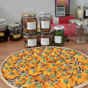 photo gallery image 01