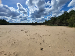 photo gallery image 01