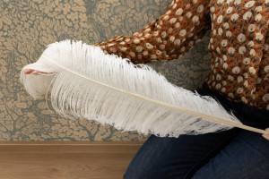 photo gallery image 01