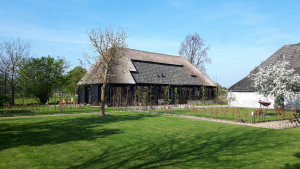photo gallery image 01