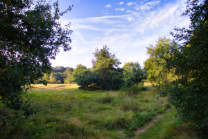 photo gallery image 01