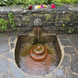 photo gallery image 01