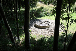 photo gallery image 01