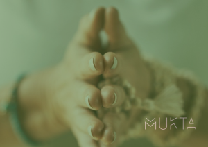photo gallery image 01