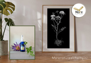 photo gallery image 01