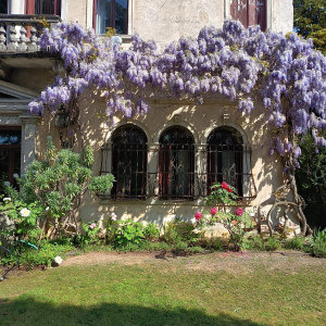 photo gallery image 01