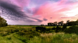 photo gallery image 01