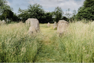 photo gallery image 01
