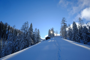 photo gallery image 01