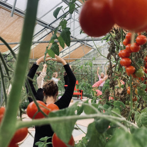 photo gallery image 01