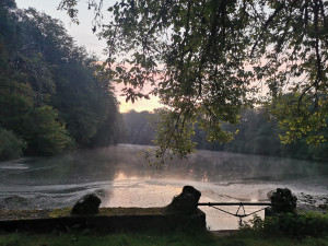 photo gallery image 01