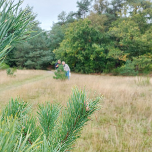 photo gallery image 01