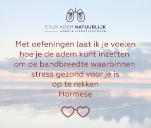 photo gallery image 01