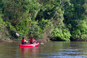 photo gallery image 01