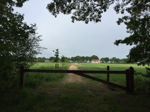 photo gallery image 01