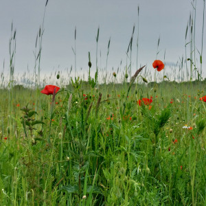 photo gallery image 01