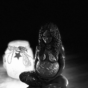 photo gallery image 01