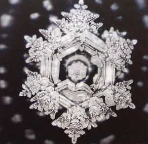 photo gallery image 01