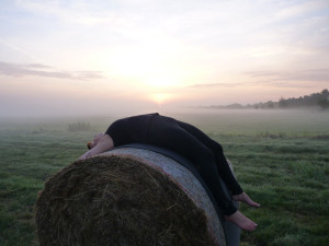 photo gallery image 01