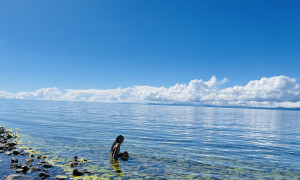 photo gallery image 01