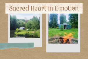 photo gallery image 01