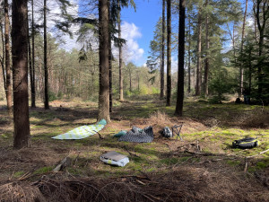 photo gallery image 01