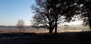 photo gallery image 01