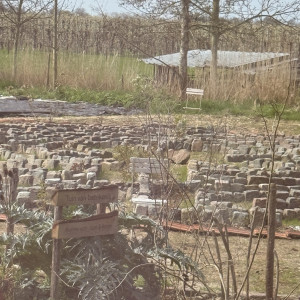 photo gallery image 01