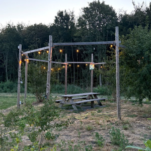 photo gallery image 01