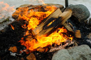 photo gallery image 01