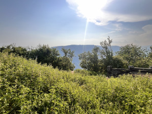 photo gallery image 01