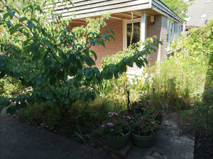 photo gallery image 01