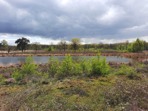 photo gallery image 01