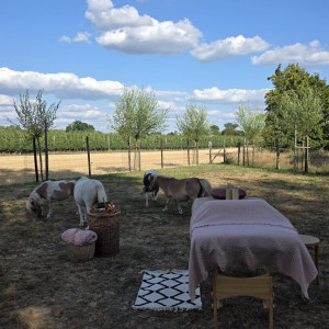photo gallery image 01