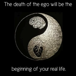 photo gallery image 01