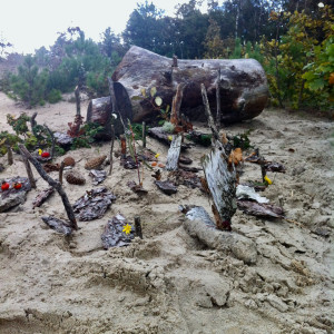 photo gallery image 01