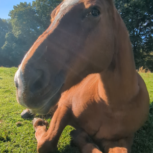 photo gallery image 01