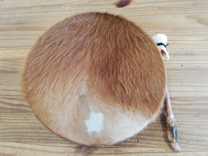photo gallery image 01