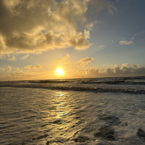 photo gallery image 01