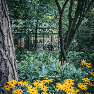 photo gallery image 01