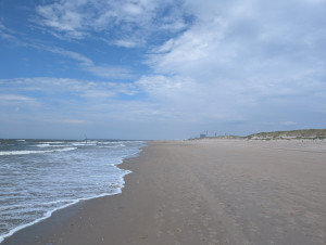 photo gallery image 01
