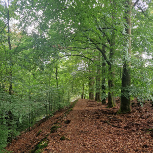 photo gallery image 01