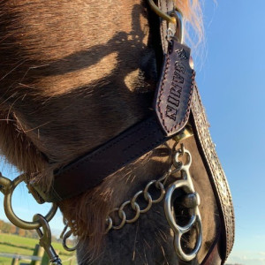 photo gallery image 01