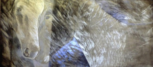 photo gallery image 01
